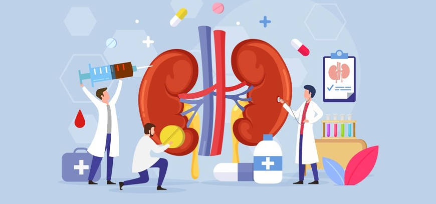 internista nefrologo